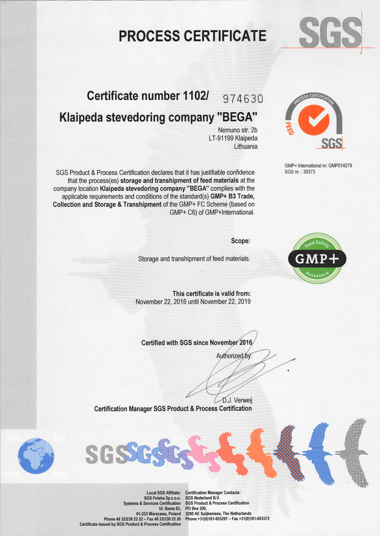 Sgs сертификат образец